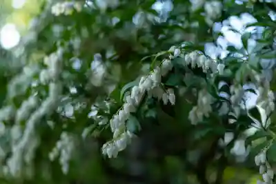 平安神宮(京都府)
