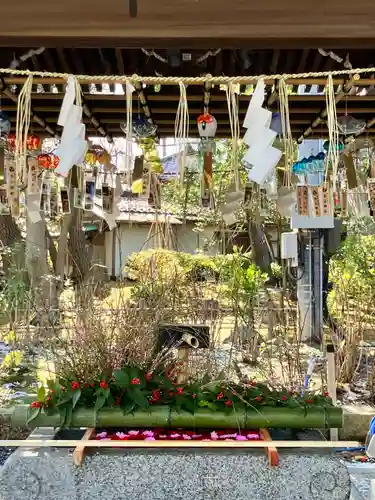 白山神社(新潟県)