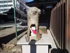 白山神社の狛犬