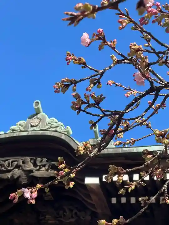 桜神宮(東京都)