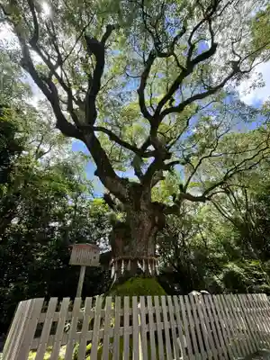 熱田神宮(愛知県)