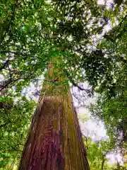 白瀧神社(茨城県)