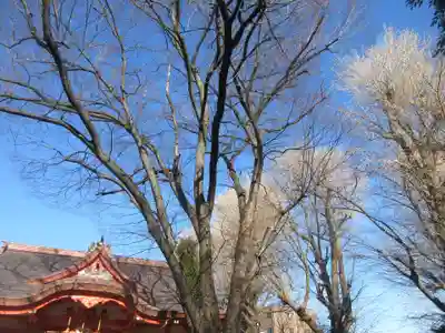 戸部杉山神社(神奈川県)