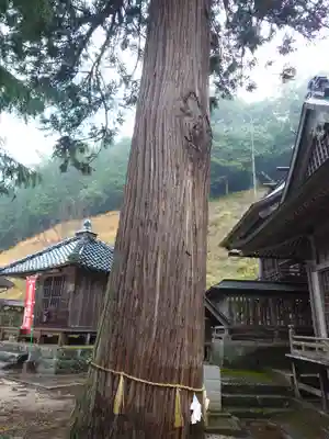 須我神社(島根県)