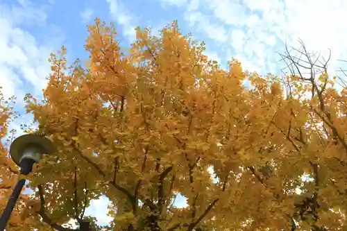 元興寺(奈良県)