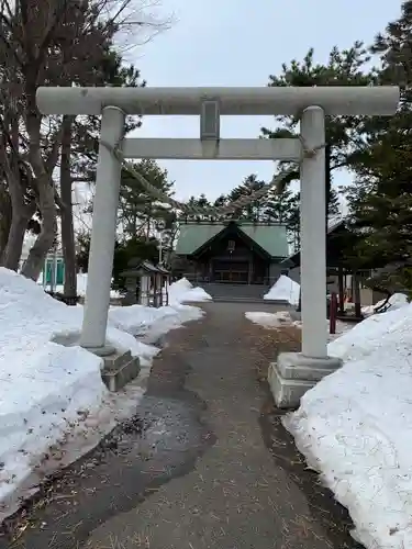 丘珠神社の鳥居