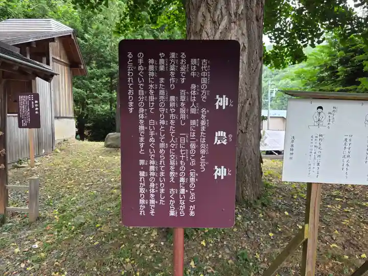 浅岸薬師神社(岩手県)