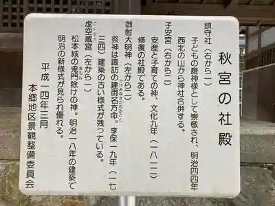 御射神社秋宮(長野県)