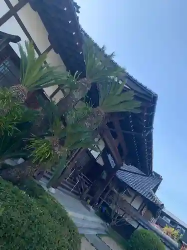 法界寺の本殿