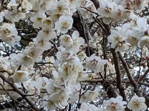 玉眞院玉川大師の庭園