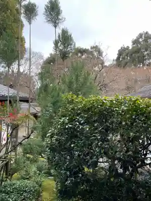 龍安寺(京都府)