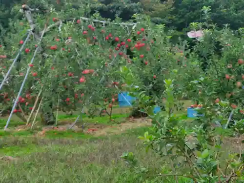 陽泰寺(長野県)