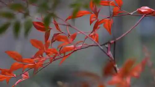 山科聖天 雙林院（双林院）　(京都府)