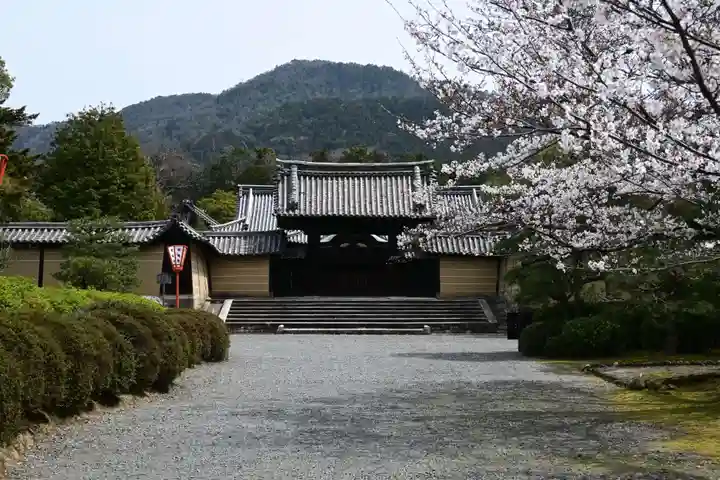 隨心院(随心院)(京都府)