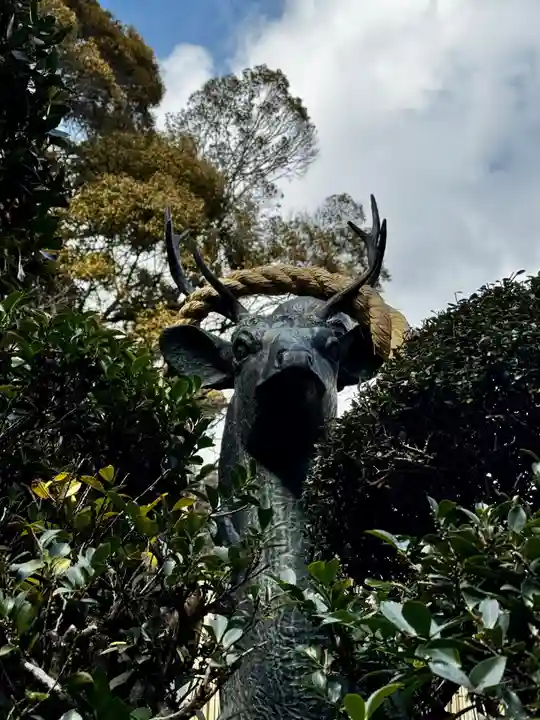安養寺(立木観音)(滋賀県)