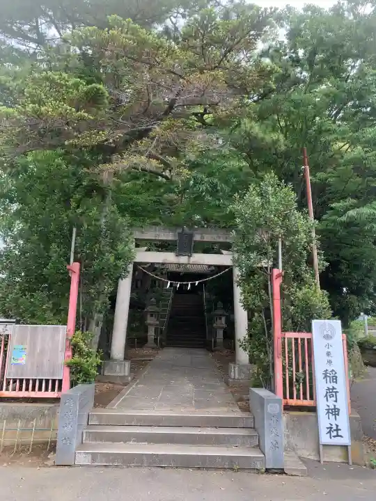 小栗原稲荷神社の{uncategorized: "未分類", other: "その他", undefined: "問題あり", building: "その他建物", grave: "お墓", sacred_gate: "鳥居", guardian: "狛犬", statue: "像", buddha: "仏像", history: "歴史", nature: "自然", garden: "庭園", animal: "動物", pagoda: "塔", temizu: "手水舎", mountain_gate: "山門・神門", sanctuary: "本殿・本堂", subordinate: "末社・摂社", art: "芸術", scenery: "景色", jizo: "地蔵", ema: "絵馬", goshuin: "御朱印", omikuji: "おみくじ", items: "授与品その他", amulet: "お守り", goshuincho: "御朱印帳", eats: "食事", festival: "お祭り", votive_dance: "神楽", shichigosan: "七五三参", wedding: "結婚式", experience: "体験その他", initially: "初詣", around: "周辺", anti_infection: "感染症対策"}