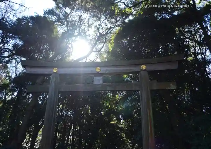 明治神宮(東京都)