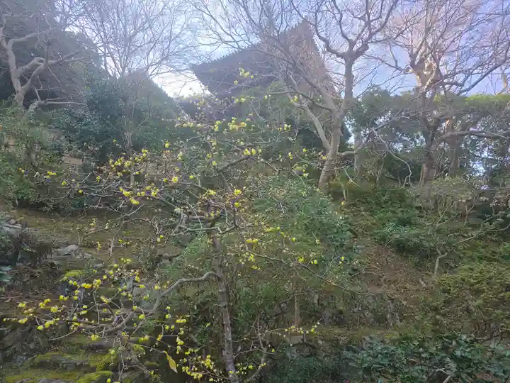 當麻寺 護念院(奈良県)