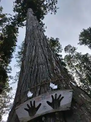 熊野神社(岩手県)