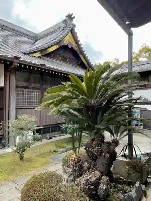 妙行寺(愛知県)