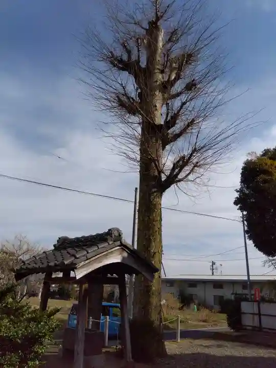 今宿八坂神社(埼玉県)