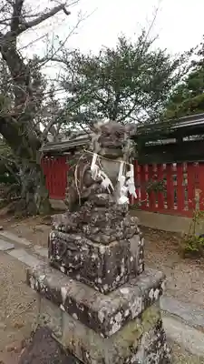 荒雄神社の狛犬