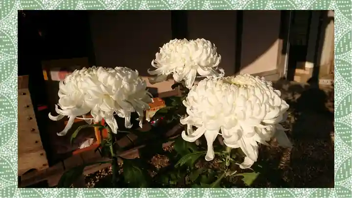 九重神社(埼玉県)