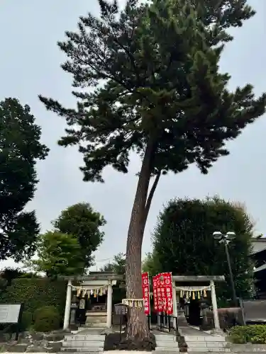 中野沼袋氷川神社の{uncategorized: "未分類", other: "その他", undefined: "問題あり", building: "その他建物", grave: "お墓", sacred_gate: "鳥居", guardian: "狛犬", statue: "像", buddha: "仏像", history: "歴史", nature: "自然", garden: "庭園", animal: "動物", pagoda: "塔", temizu: "手水舎", mountain_gate: "山門・神門", sanctuary: "本殿・本堂", subordinate: "末社・摂社", art: "芸術", scenery: "景色", jizo: "地蔵", ema: "絵馬", goshuin: "御朱印", omikuji: "おみくじ", items: "授与品その他", amulet: "お守り", goshuincho: "御朱印帳", eats: "食事", festival: "お祭り", votive_dance: "神楽", shichigosan: "七五三参", wedding: "結婚式", experience: "体験その他", initially: "初詣", around: "周辺", anti_infection: "感染症対策"}