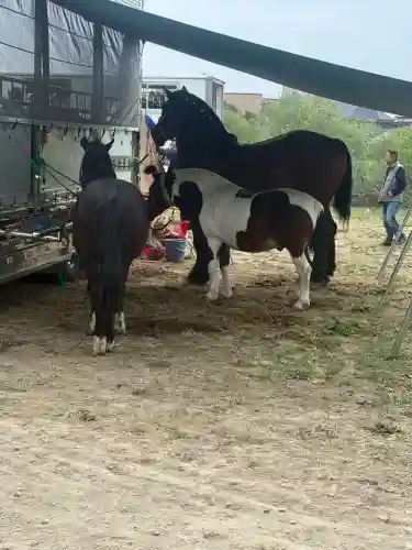 涌谷神社(宮城県)