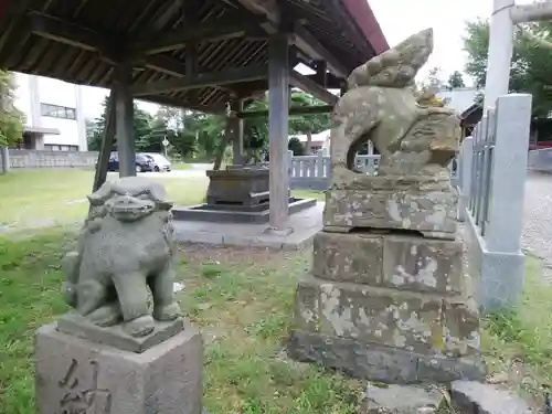 森町稲荷神社の狛犬