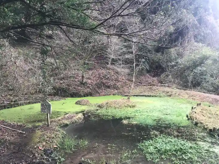 幣立神宮の庭園