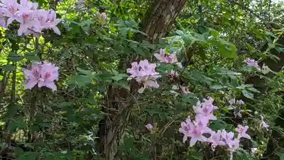賀茂別雷神社（上賀茂神社）(京都府)