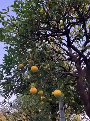 浅草寺(東京都)