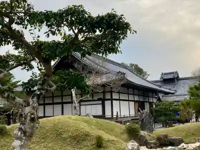 高台寺(高台寿聖禅寺・高臺寺)の本殿・本堂