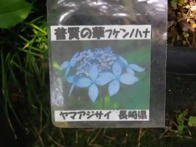 光則寺のその他建物