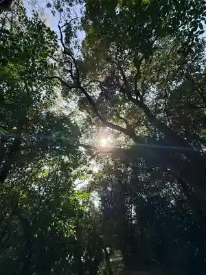 多井畑厄除八幡宮の{uncategorized: "未分類", other: "その他", undefined: "問題あり", building: "その他建物", grave: "お墓", sacred_gate: "鳥居", guardian: "狛犬", statue: "像", buddha: "仏像", history: "歴史", nature: "自然", garden: "庭園", animal: "動物", pagoda: "塔", temizu: "手水舎", mountain_gate: "山門・神門", sanctuary: "本殿・本堂", subordinate: "末社・摂社", art: "芸術", scenery: "景色", jizo: "地蔵", ema: "絵馬", goshuin: "御朱印", omikuji: "おみくじ", items: "授与品その他", amulet: "お守り", goshuincho: "御朱印帳", eats: "食事", festival: "お祭り", votive_dance: "神楽", shichigosan: "七五三参", wedding: "結婚式", experience: "体験その他", initially: "初詣", around: "周辺", anti_infection: "感染症対策"}