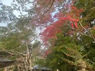 神峯山寺(大阪府)