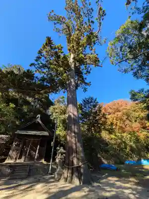 小部大歳神社(兵庫県)