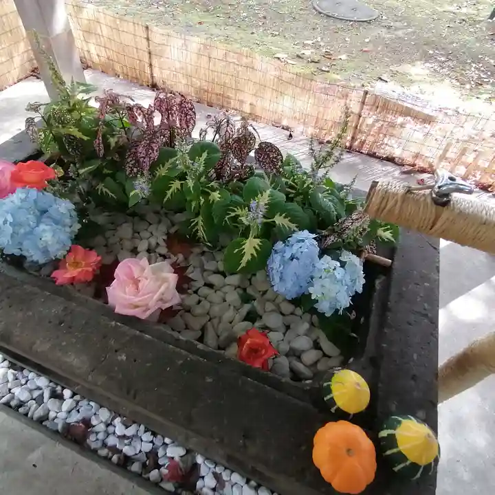 北広島市総鎮守 廣島神社の手水舎