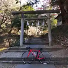 唐澤山神社の鳥居