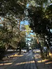 越ヶ谷久伊豆神社(埼玉県)