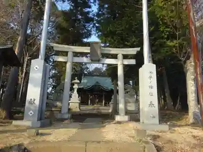 子ノ神社（早野）の鳥居