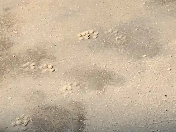 総持寺(大阪府)