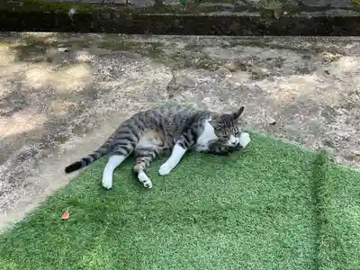 王子神社(徳島県)