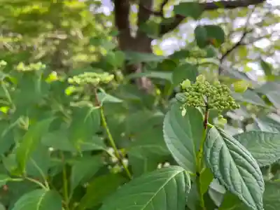 石清水八幡宮(京都府)