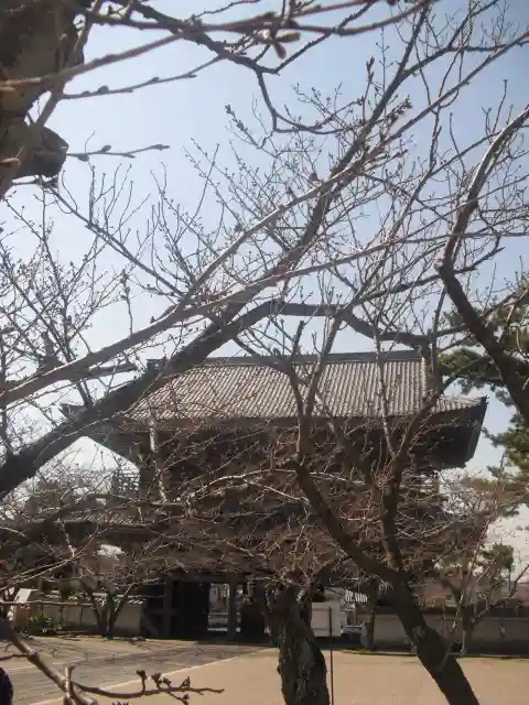 光明寺の山門・神門