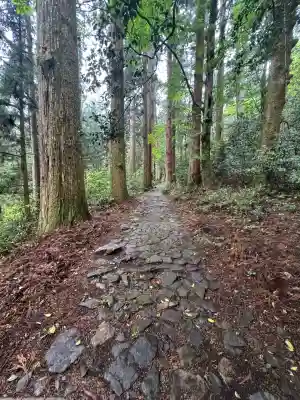瀧神社(岐阜県)