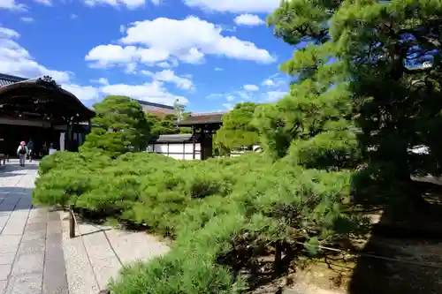 仁和寺の庭園