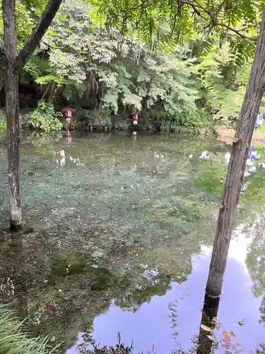 富士山本宮浅間大社(静岡県)