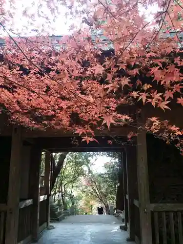 弥谷寺の山門・神門